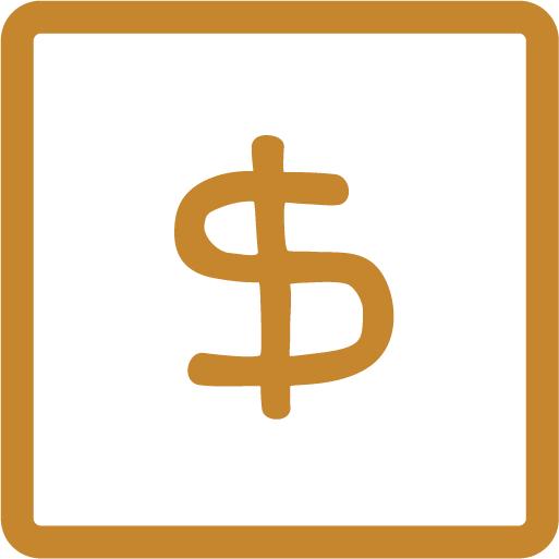 cash icon
