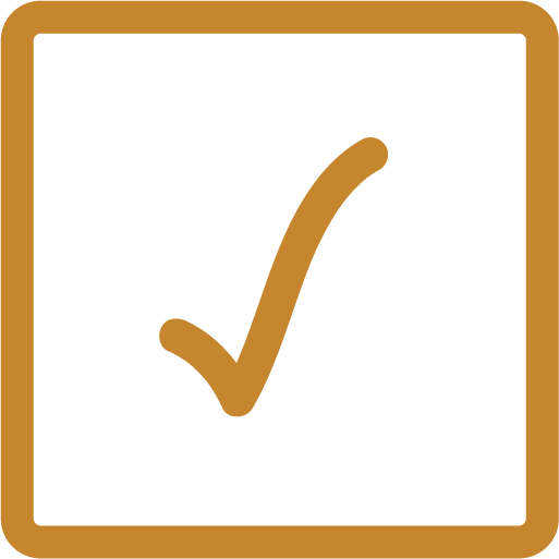 check icon